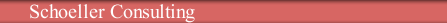Schoeller Consulting